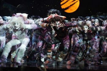 2008-2010 cast of Cats Australia/Asia Tour