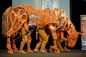 War Horse - Photographer David Wyatt War Horse - Photographer David Wyatt