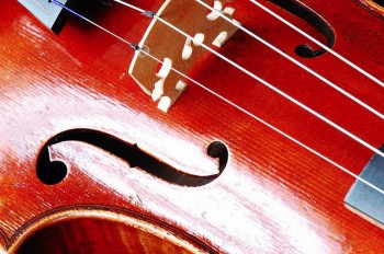 Violin Violin