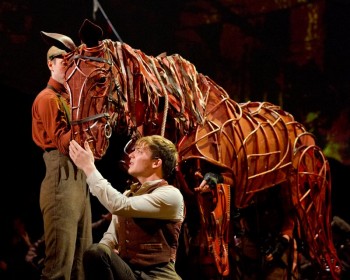 War Horse - Photographer David Wyatt