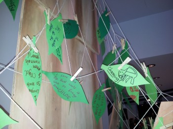 Big Bad Wolf leaves