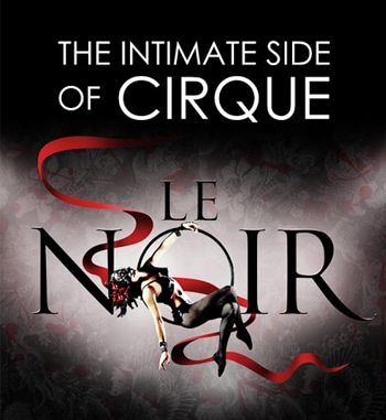 Le Noir - The Dark Side of Cirque [image supplied]