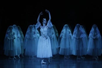 Dimity Azoury and the Wilis. Image by Jeff Busby.