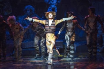 Ross Hannaford as Skimbleshanks. Photo by Hagen Hopkins