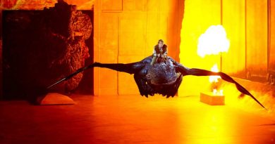 How to Train Your Dragon. Photographer David Wyatt