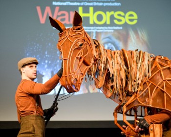 War Horse - Photographer David Wyatt War Horse - Photographer David Wyatt