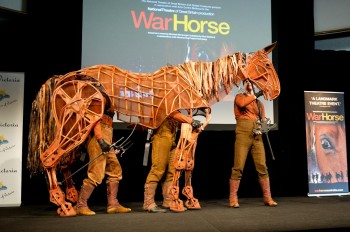 War Horse - Photographer David Wyatt War Horse - Photographer David Wyatt