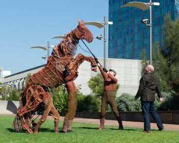 War Horse - Photographer David Wyatt War Horse - Photographer David Wyatt