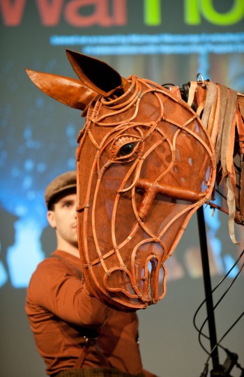 War Horse - Photographer David Wyatt War Horse - Photographer David Wyatt