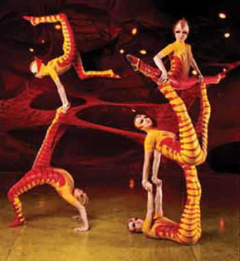 OVO - Cirque du Soleil