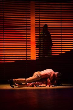 South Pacific. Image by Kurt Sneddon 2012