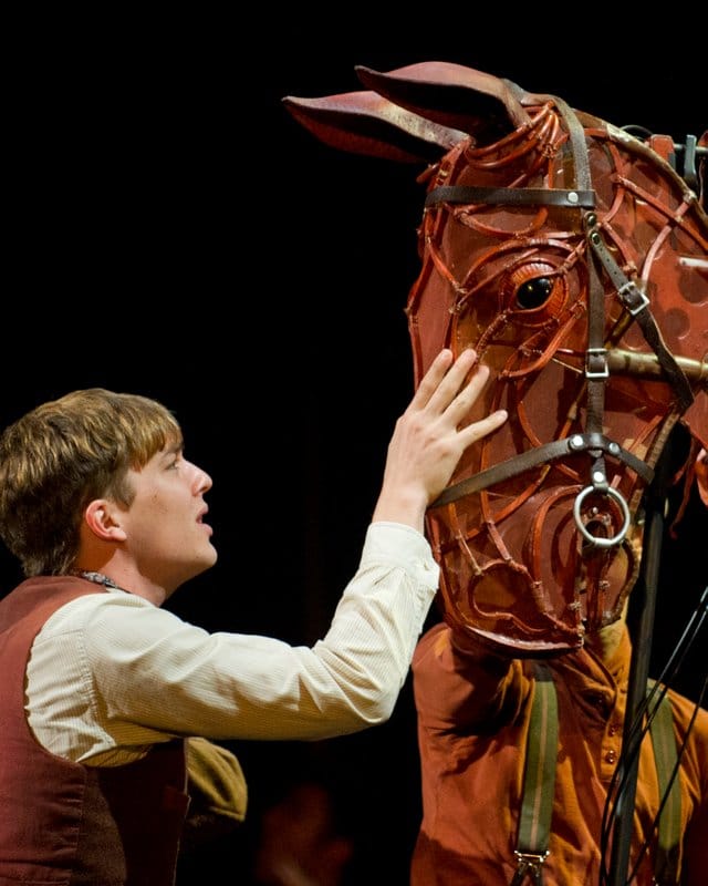 War Horse - Photographer David Wyatt