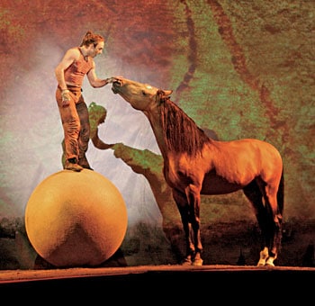 Cavalia