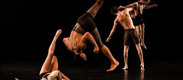 Circus company Casus