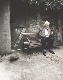 The Nightingale and the Rose - Anywhere Theatre Festival