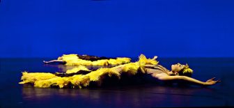 Botanica 2013. Image by Belinda Strodder
