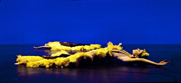 Botanica 2013. Image by Belinda Strodder