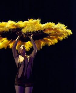 Botanica 2013. Image by Belinda Strodder