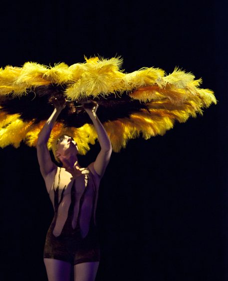 Botanica 2013. Image by Belinda Strodder