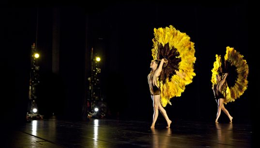 Botanica 2013. Image by Belinda Strodder