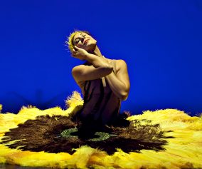 Botanica 2013. Image by Belinda Strodder