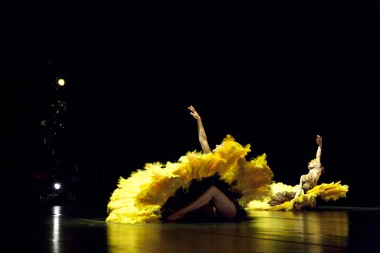 Botanica 2013. Image by Belinda Strodder