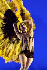 Botanica 2013. Image by Belinda Strodder