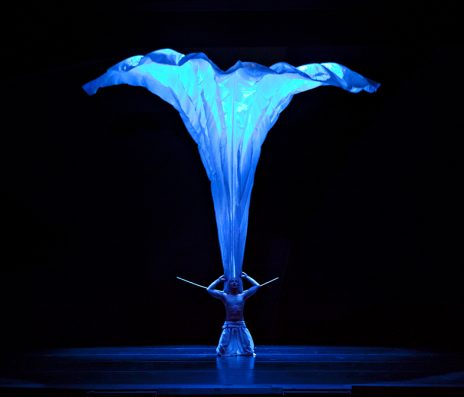 Botanica 2013. Image by Belinda Strodder