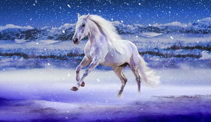 High Country – Myths and Legends at the Australian Outback Spectacular. Image Supplied.