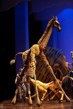 MelbTheLionKing_14_BelindaStrodder