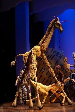 MelbTheLionKing_14_BelindaStrodder