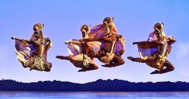 The Lion King, Melbourne 2015. Image by Belinda Strodder