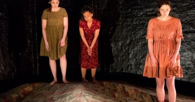 The Bleeding Tree. Photo by Brett Boardman