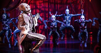 Cirque du Soleil. Kooza