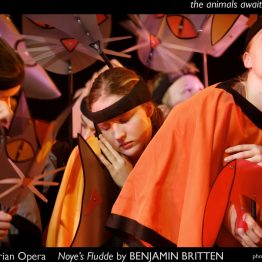 Victorian Opera 2006 - Noye's Fludde © Ponch Hawkes