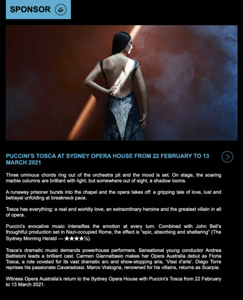 Newsletter Sponsorship
