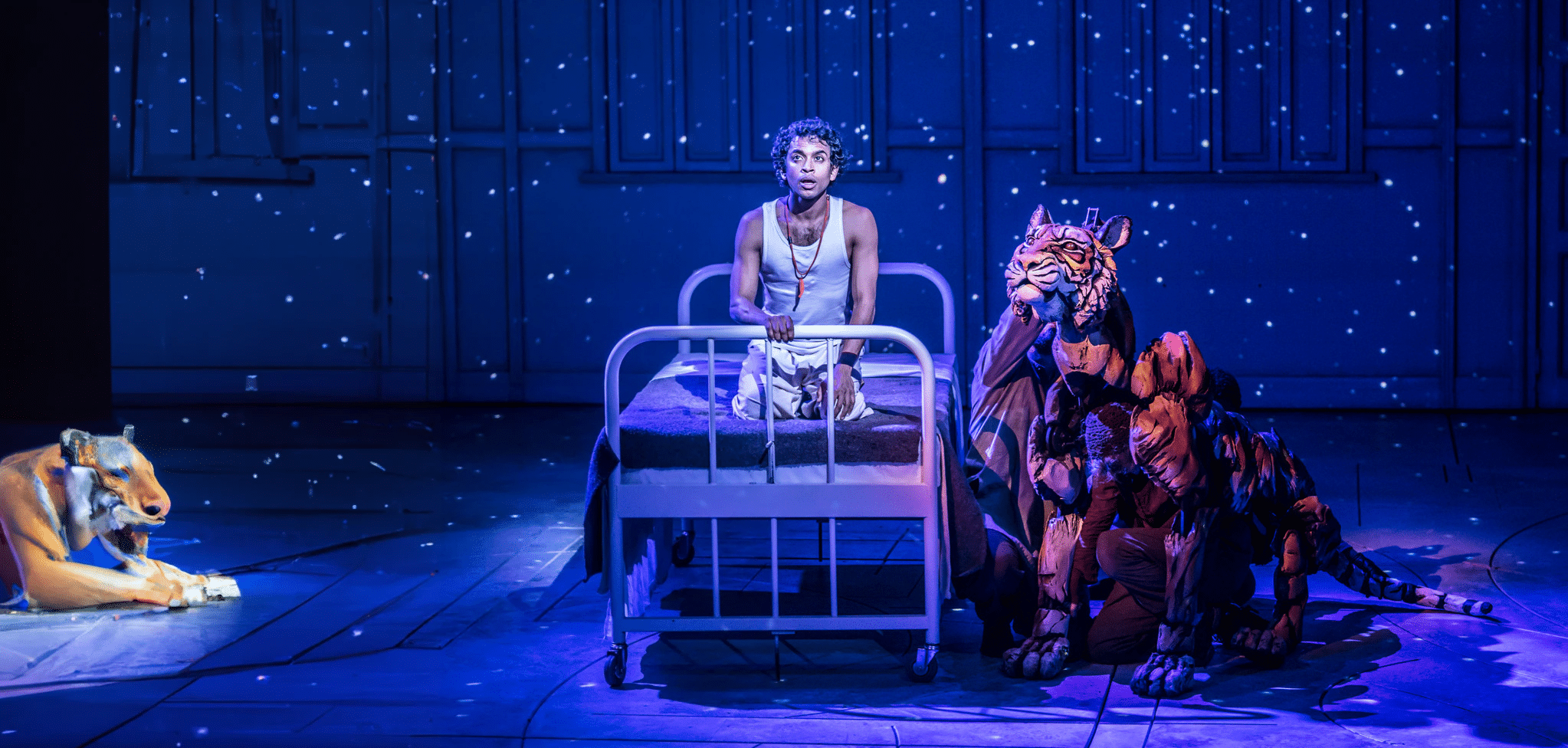life of pi image i