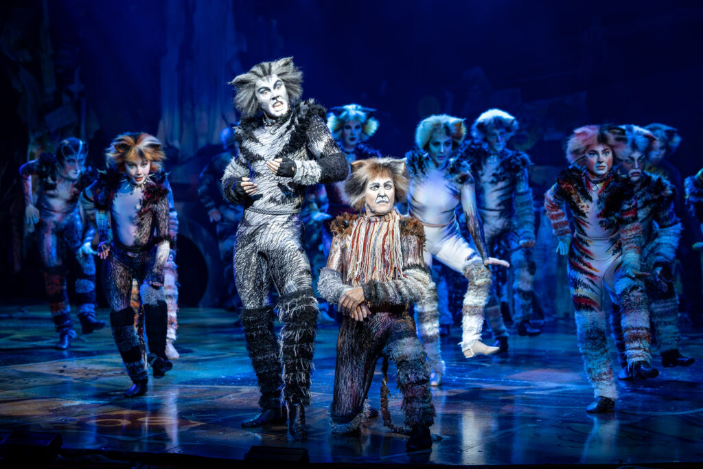 Jarrod Draper Todd McKenney in CATS Credit: Daniel Boud