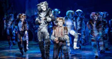 Jarrod Draper Todd McKenney in CATS Credit: Daniel Boud