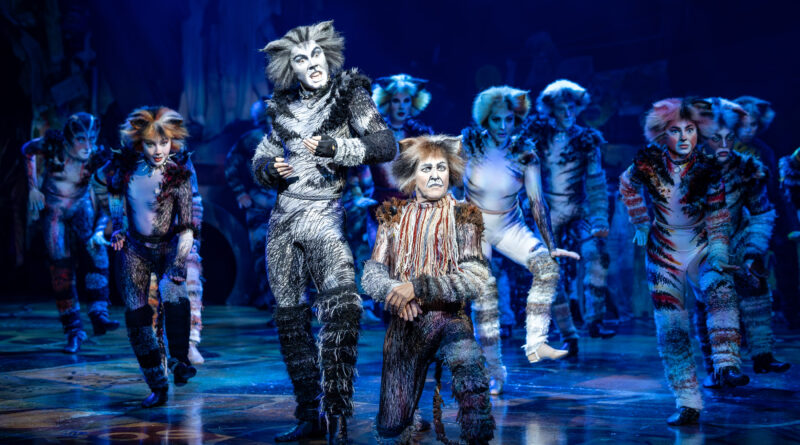 Jarrod Draper Todd McKenney in CATS Credit: Daniel Boud
